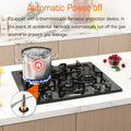24 in Black Gas Cooktop - Built - in Dual Fuel Natural Gas & Propane Stove - 4 Burner Convertible Cooktop with Thermocouple Protection